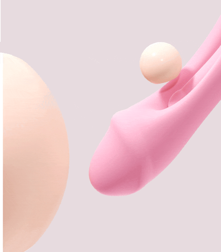GIF of a dual function vibrator with A-Spot Pulsation & G-Spot Flapping in action.